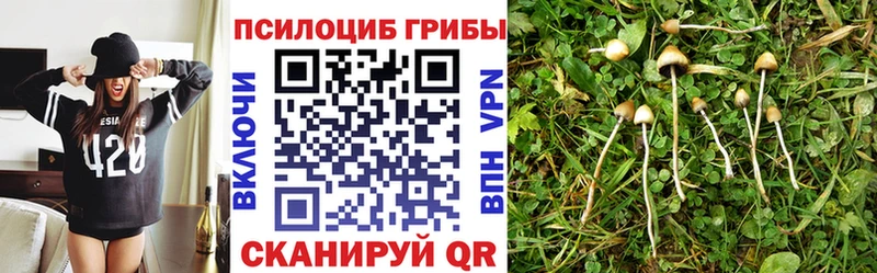 где купить   Нолинск  Галлюциногенные грибы мухоморы 