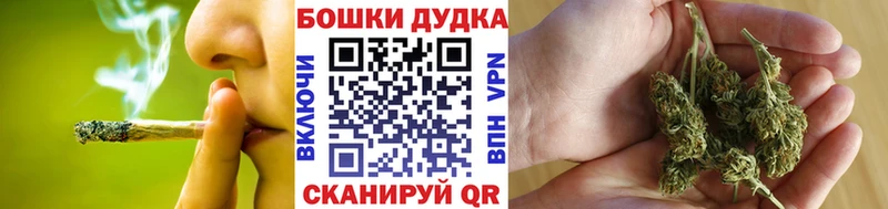 блэк спрут вход  Нолинск  Каннабис LSD WEED  где купить наркоту 